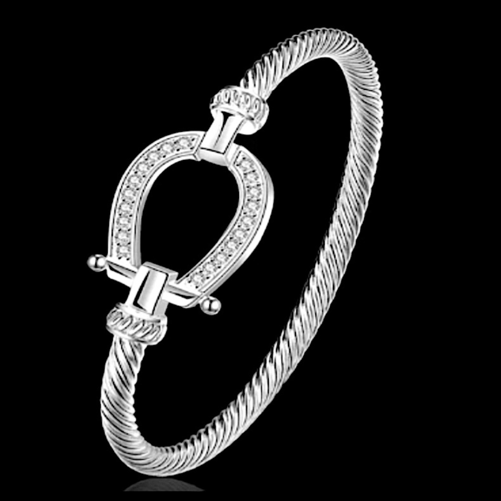 Sterling Silver Horseshoe Design Zircon Twisted Bangle Bracelet - Picture 7 of 13